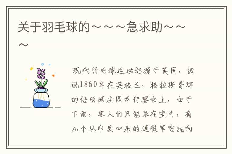 关于羽毛球的~~~急求助~~~