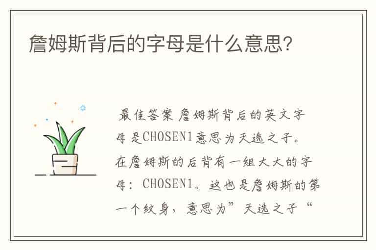 詹姆斯背后的字母是什么意思?