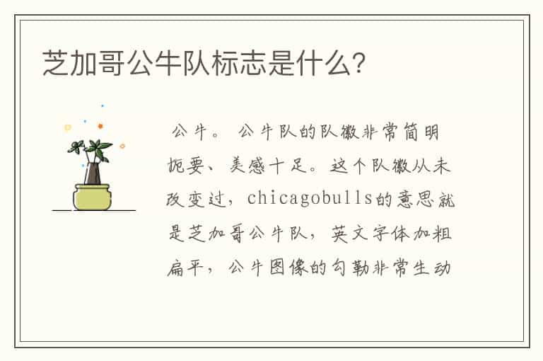 芝加哥公牛队标志是什么?