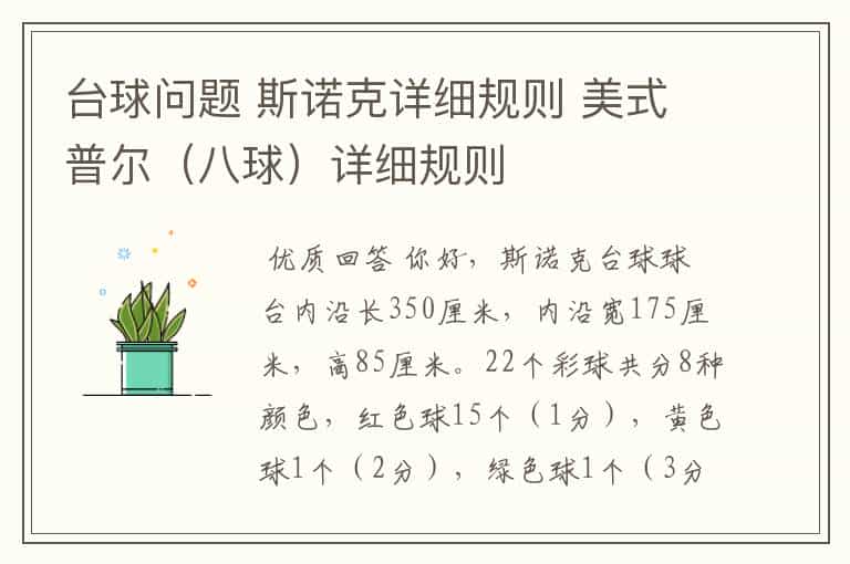 台球问题 斯诺克详细规则 美式普尔(八球)详细规则