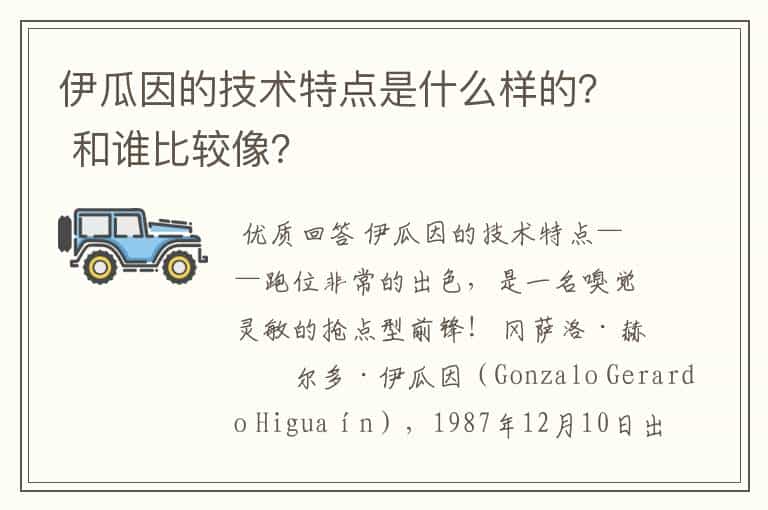 伊瓜因的技术特点是什么样的? 和谁比较像?