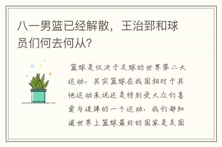 八一男篮已经解散,王治郅和球员们何去何从?