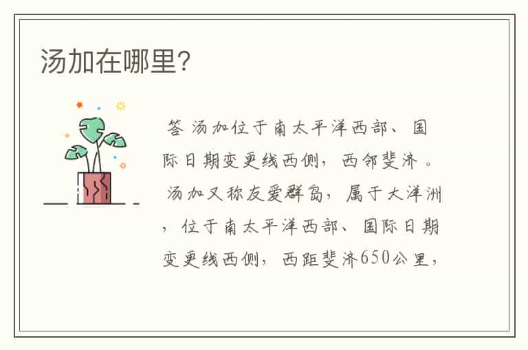 汤加在哪里?