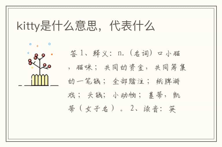 kitty是什么意思,代表什么