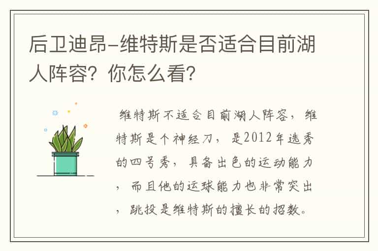 后卫迪昂-维特斯是否适合目前湖人阵容?你怎么看?