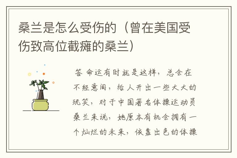 桑兰是怎么受伤的(曾在美国受伤致高位截瘫的桑兰)