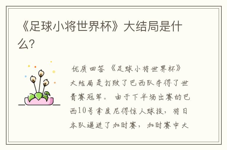 《足球小将世界杯》大结局是什么?