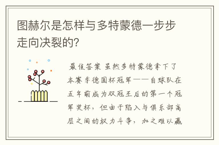 图赫尔是怎样与多特蒙德一步步走向决裂的?