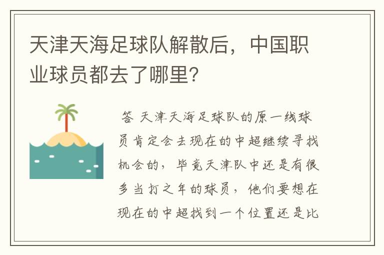 天津天海足球队解散后,中国职业球员都去了哪里?