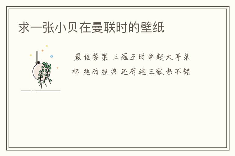 求一张小贝在曼联时的壁纸