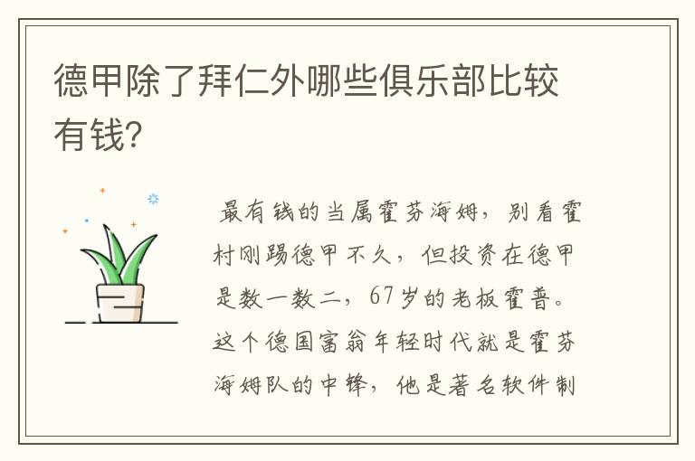 德甲除了拜仁外哪些俱乐部比较有钱?