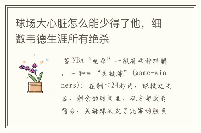 球场大心脏怎么能少得了他,细数韦德生涯所有绝杀