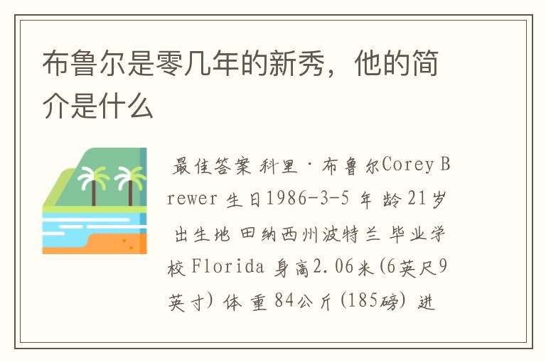 布鲁尔是零几年的新秀,他的简介是什么