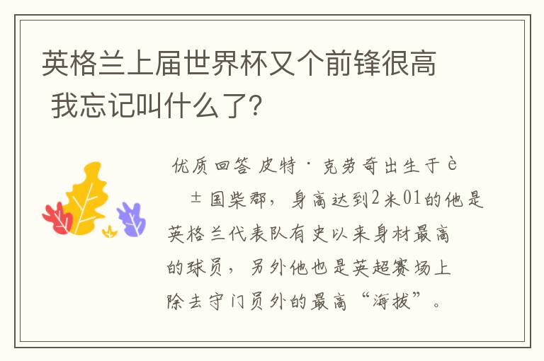 英格兰上届世界杯又个前锋很高 我忘记叫什么了?