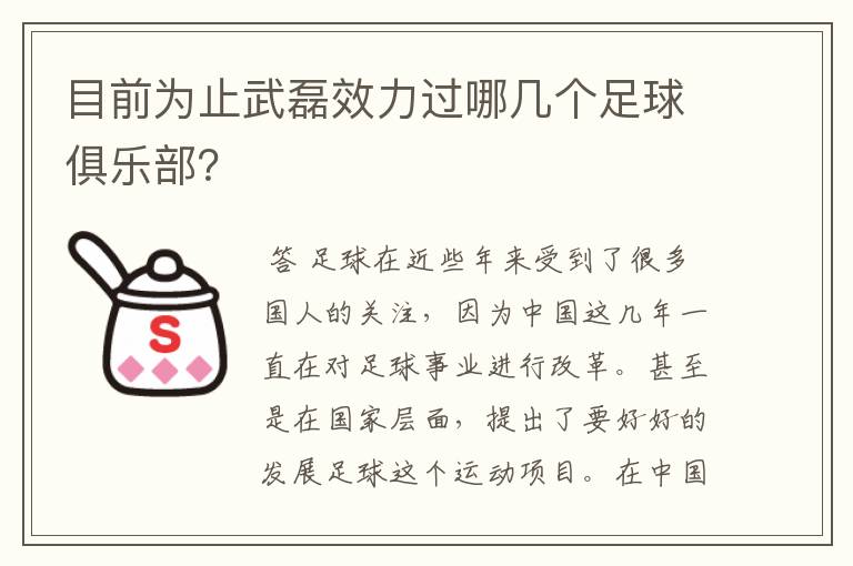 目前为止武磊效力过哪几个足球俱乐部?