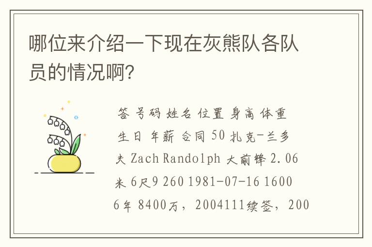 哪位来介绍一下现在灰熊队各队员的情况啊?