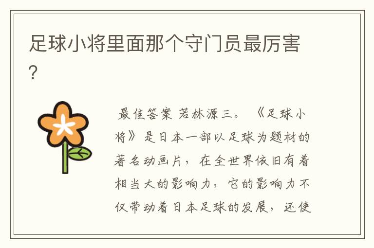 足球小将里面那个守门员最厉害?
