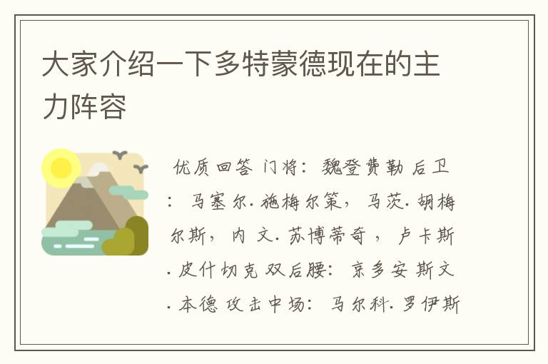 大家介绍一下多特蒙德现在的主力阵容
