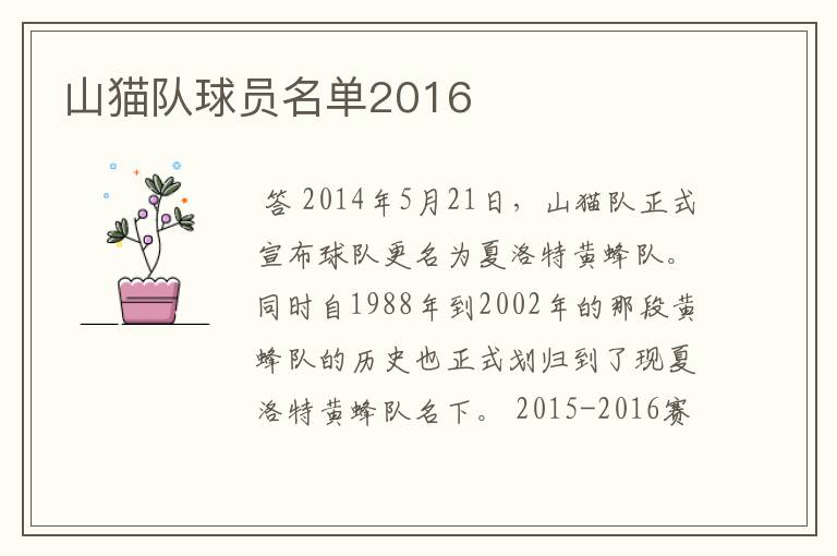 山猫队球员名单2016