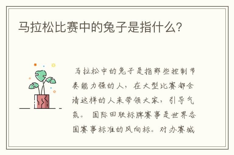 马拉松比赛中的兔子是指什么?