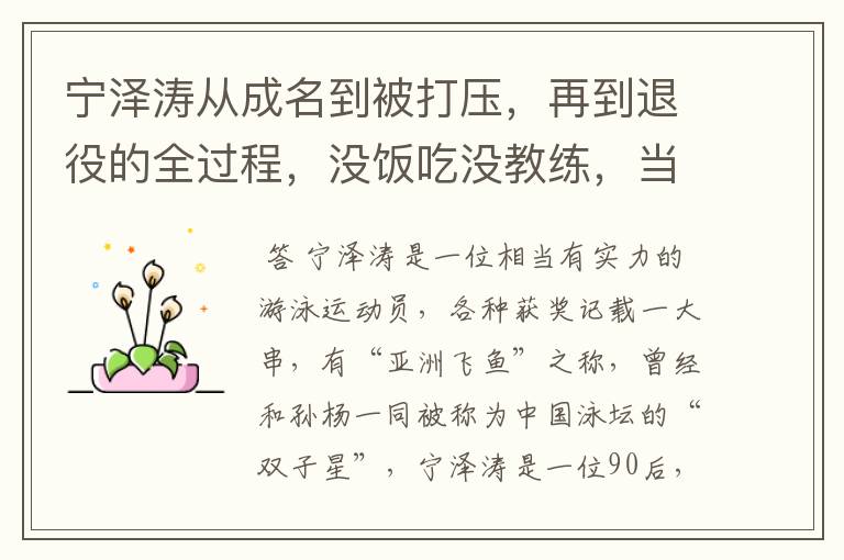 宁泽涛从成名到被打压,再到退役的全过程,没饭吃没教练,当初为什么退役?