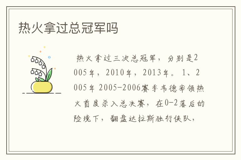 热火拿过总冠军吗
