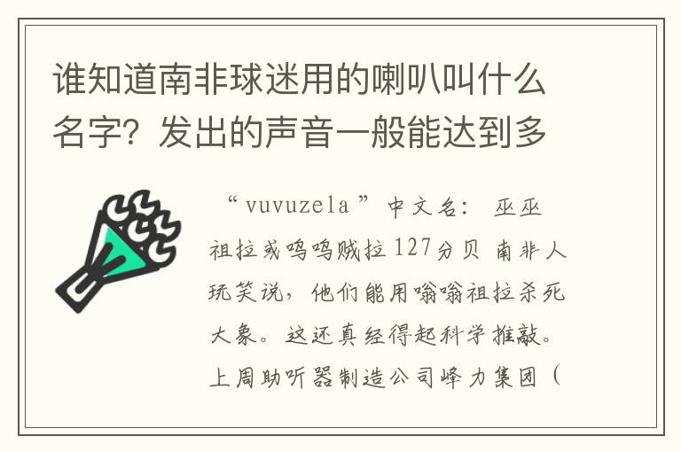 谁知道南非球迷用的喇叭叫什么名字?发出的声音一般能达到多少分贝?