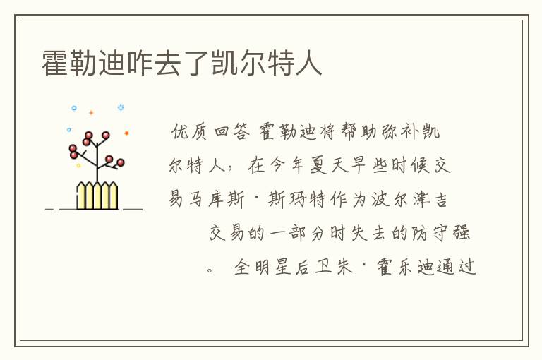 霍勒迪咋去了凯尔特人