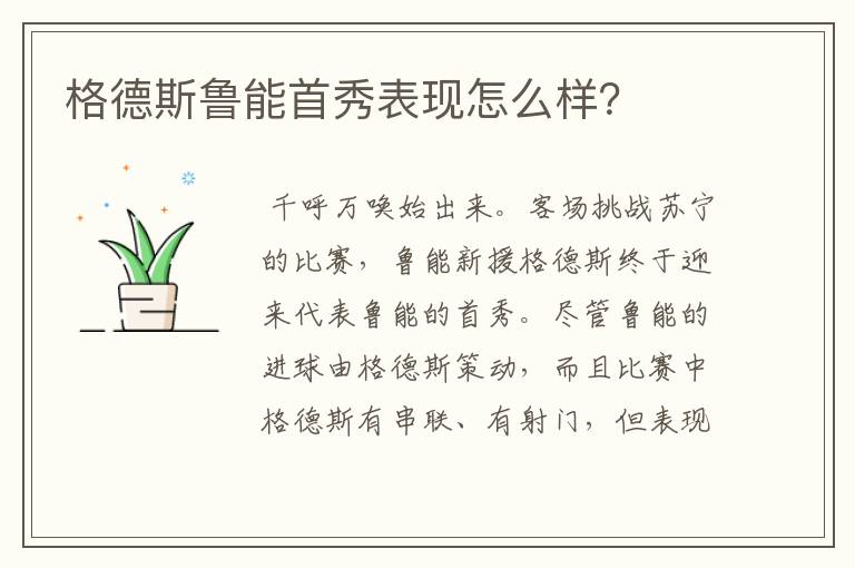 格德斯鲁能首秀表现怎么样?