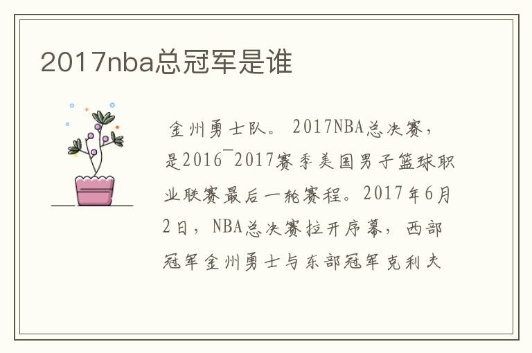 2017nba总冠军是谁