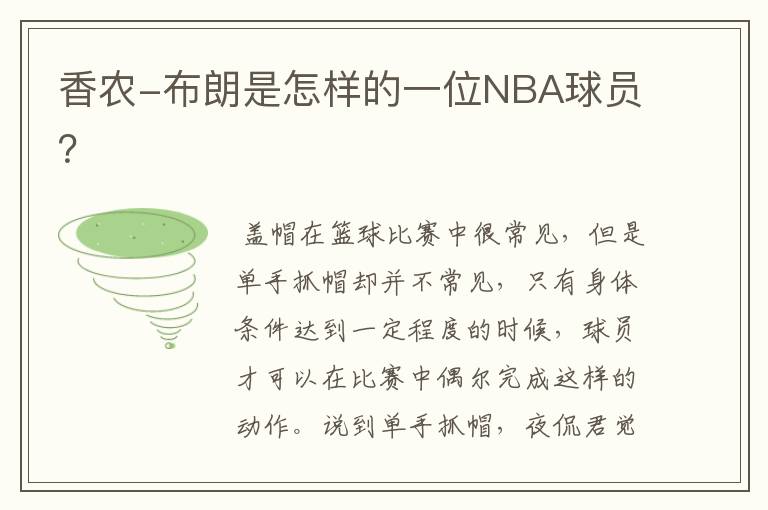 香农-布朗是怎样的一位NBA球员?