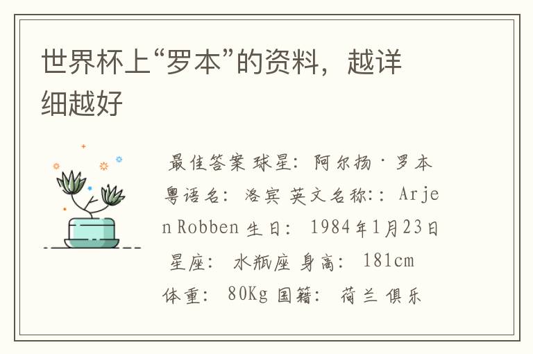 世界杯上“罗本”的资料,越详细越好