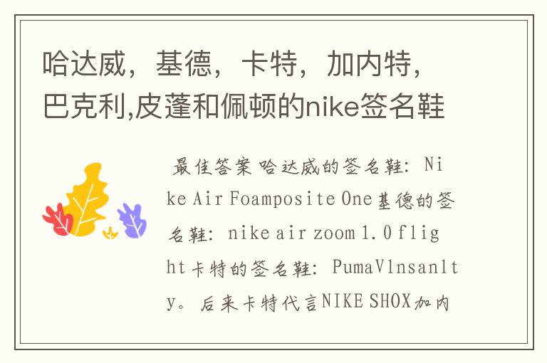 哈达威,基德,卡特,加内特,巴克利,皮蓬和佩顿的nike签名鞋
