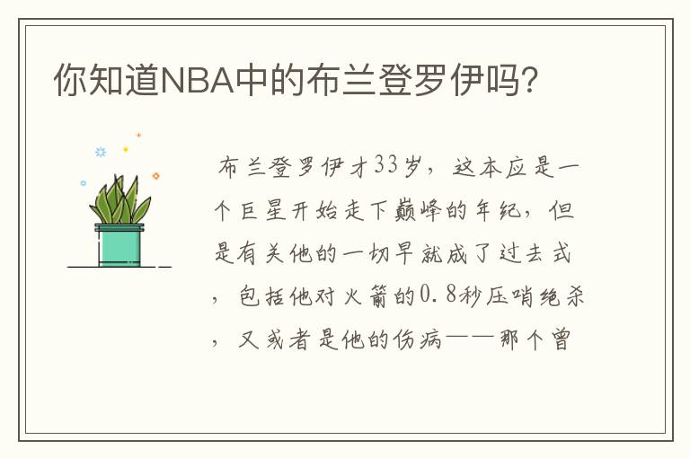 你知道NBA中的布兰登罗伊吗?
