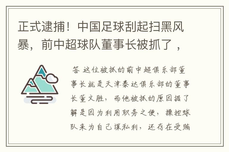 正式逮捕!中国足球刮起扫黑风暴,前中超球队董事长被抓了 ,是因为啥?
