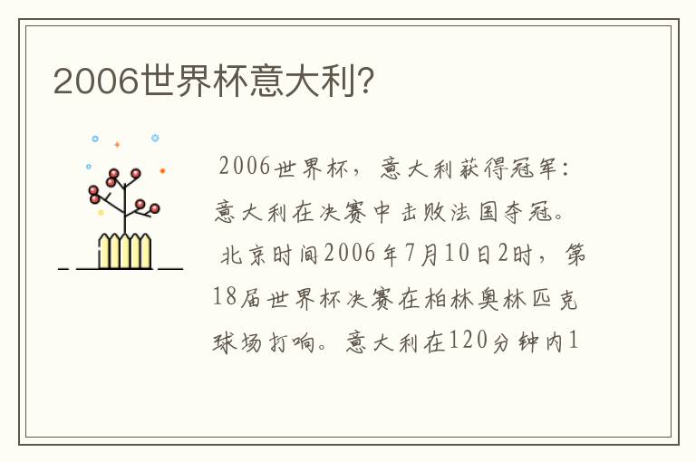 2006世界杯意大利?