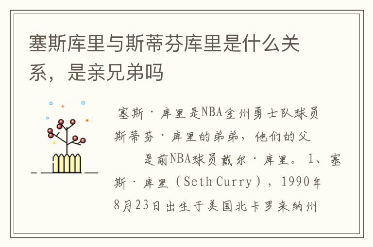 塞斯库里与斯蒂芬库里是什么关系,是亲兄弟吗