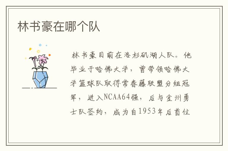 林书豪在哪个队