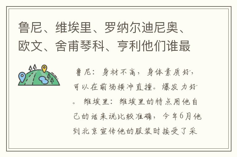 鲁尼、维埃里、罗纳尔迪尼奥、欧文、舍甫琴科、亨利他们谁最强,六人各有什么特点