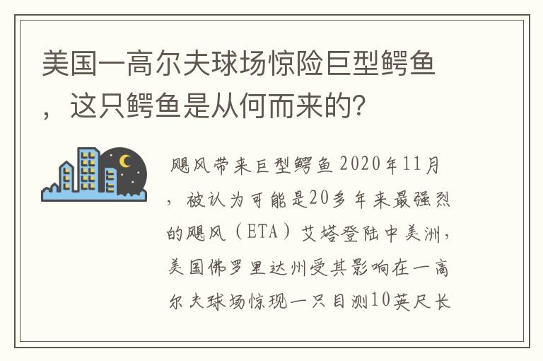 美国一高尔夫球场惊险巨型鳄鱼,这只鳄鱼是从何而来的?