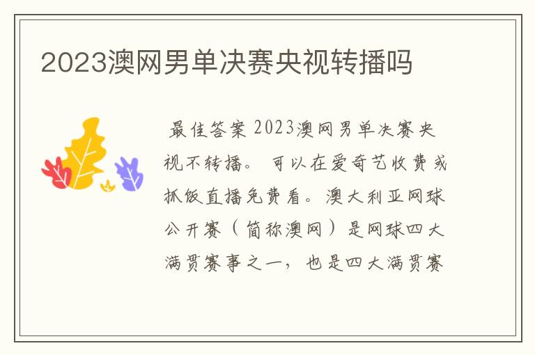 2023澳网男单决赛央视转播吗