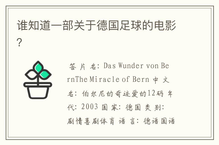 谁知道一部关于德国足球的电影?