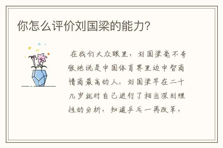 你怎么评价刘国梁的能力?