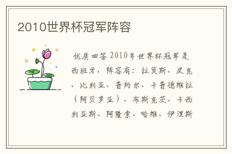 2010世界杯冠军阵容