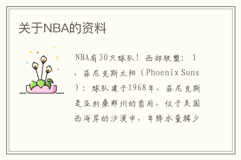 关于NBA的资料
