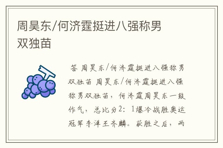 周昊东/何济霆挺进八强称男双独苗