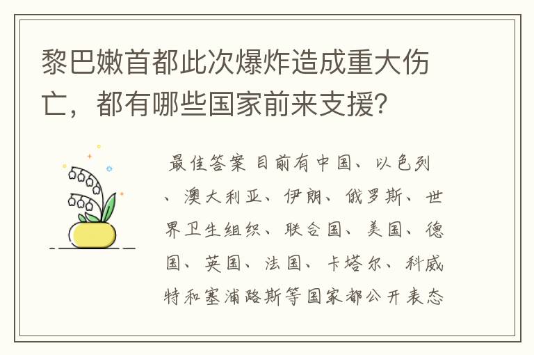 黎巴嫩首都此次爆炸造成重大伤亡,都有哪些国家前来支援?