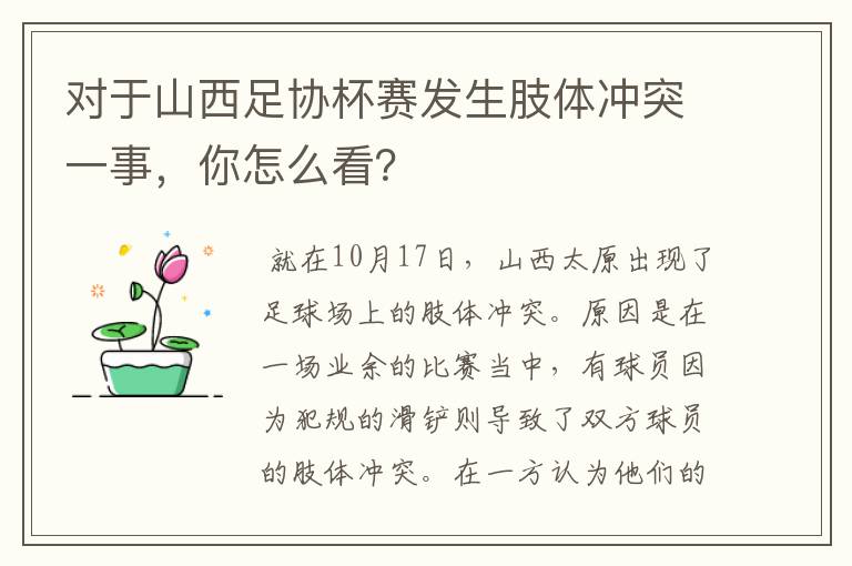 对于山西足协杯赛发生肢体冲突一事,你怎么看?