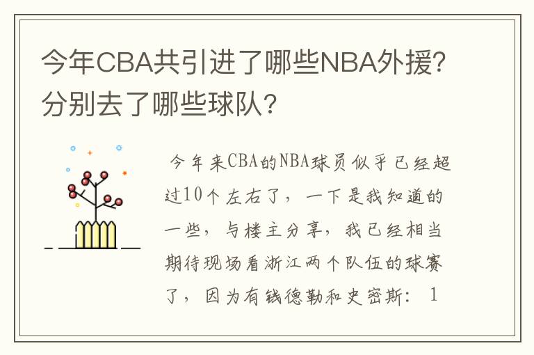 今年CBA共引进了哪些NBA外援?分别去了哪些球队?