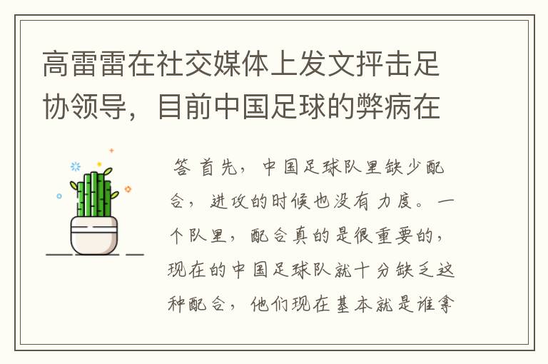 高雷雷在社交媒体上发文抨击足协领导,目前中国足球的弊病在哪里?